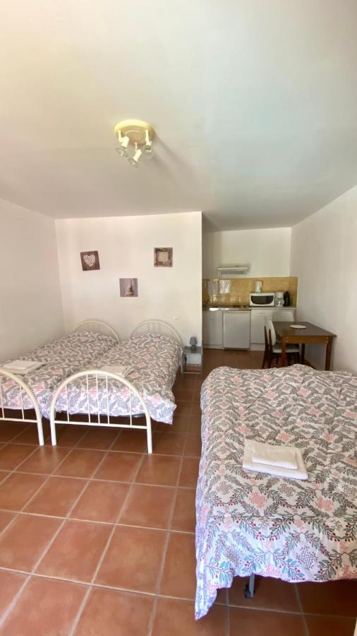 Appartements " Le Clos De La Cerisaie" Castillon-du-Gard Dış mekan fotoğraf